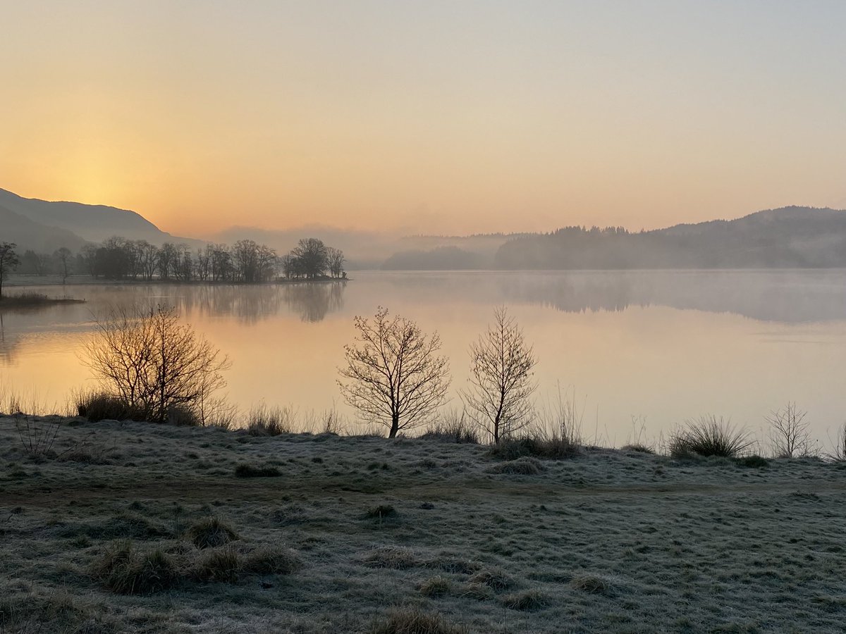 Nick Lester-Davis tweet media