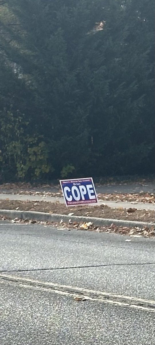StinkyPaws94's tweet photo. “Whatcha gonna do if your candidate doesn’t win?” https://t.co/9BDfzpSfUF