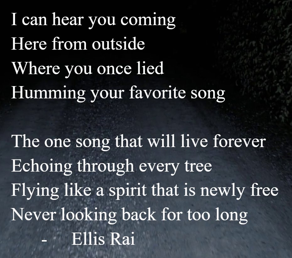 ellis_rai's tweet photo. "Immortality" - by Ellis Rai

#poem #poetry #writingcommunity #poetrycommunity #writing #writerscommunity #writer #song #memory #lifesong #remembering #movingon #friend #street #spirit #ghost #star #shootingstar #whisperingtrees #immortality https://t.co/UQZRYKVsMv
