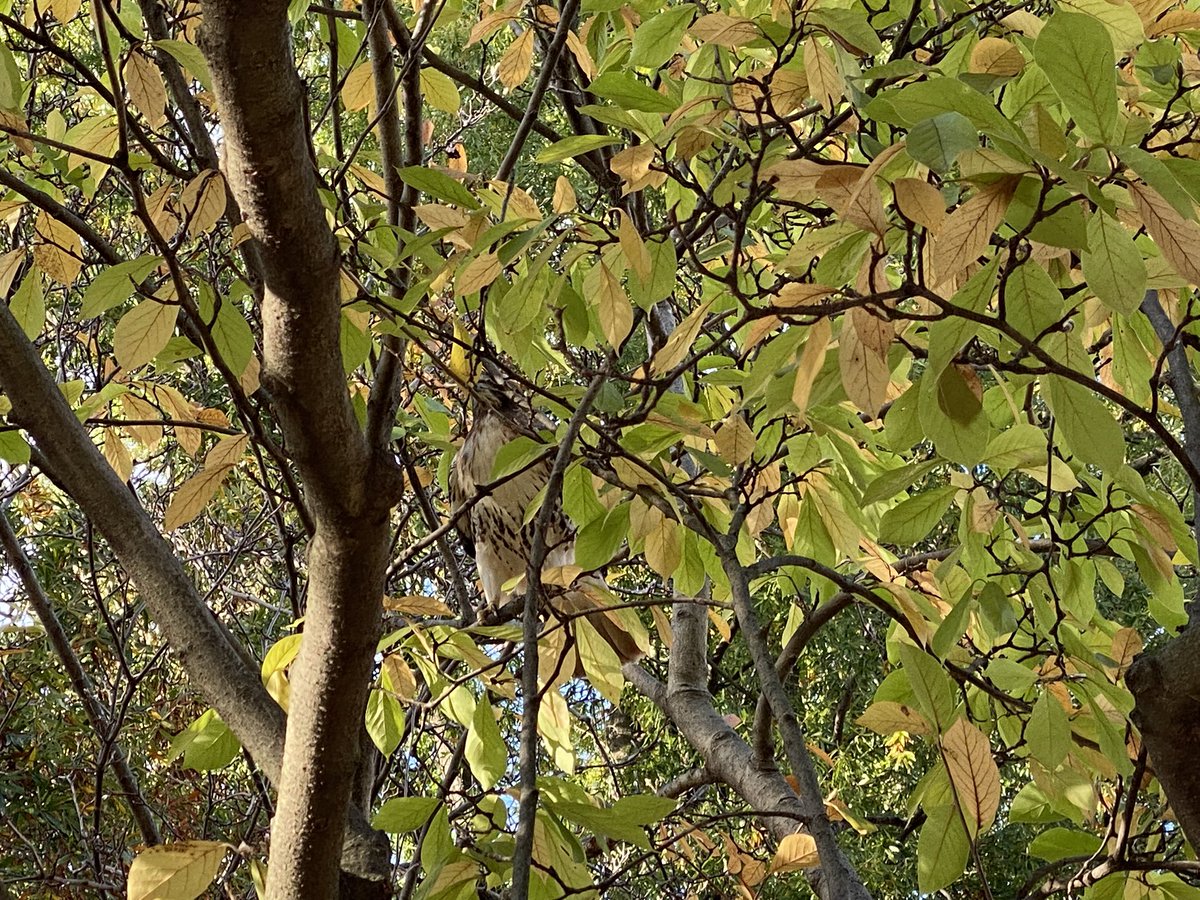 Jacob Fenston tweet media