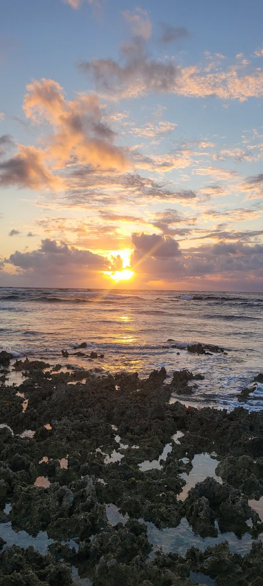 djmillerJA's tweet image. Early morning hike
#TuesdayScenes
Morant Point 
@jahmekyagyal