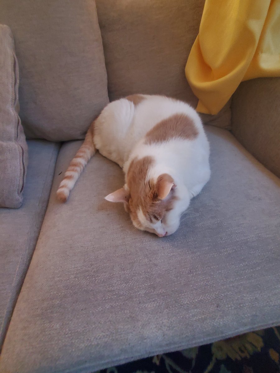 morgueline tweet media