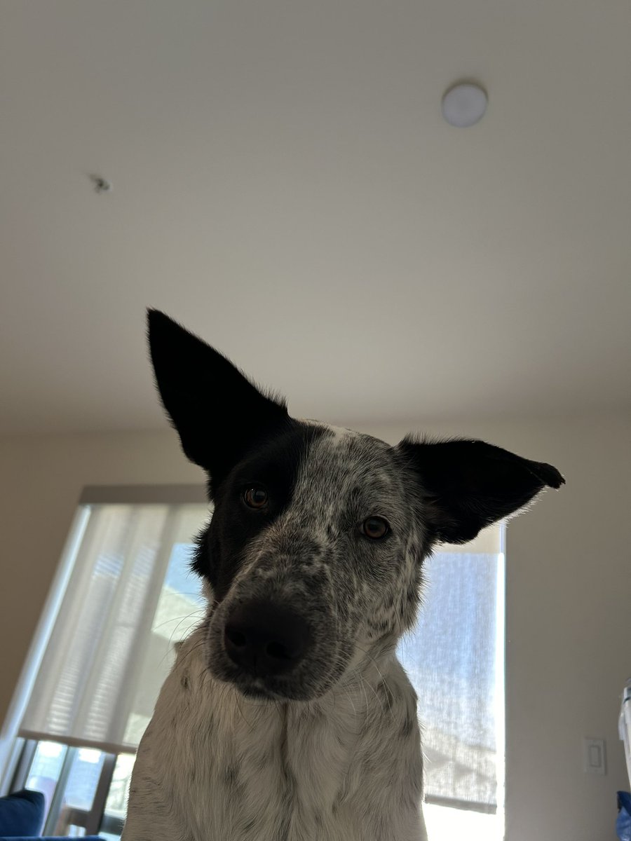 Jane Coaston 🏔️ tweet media