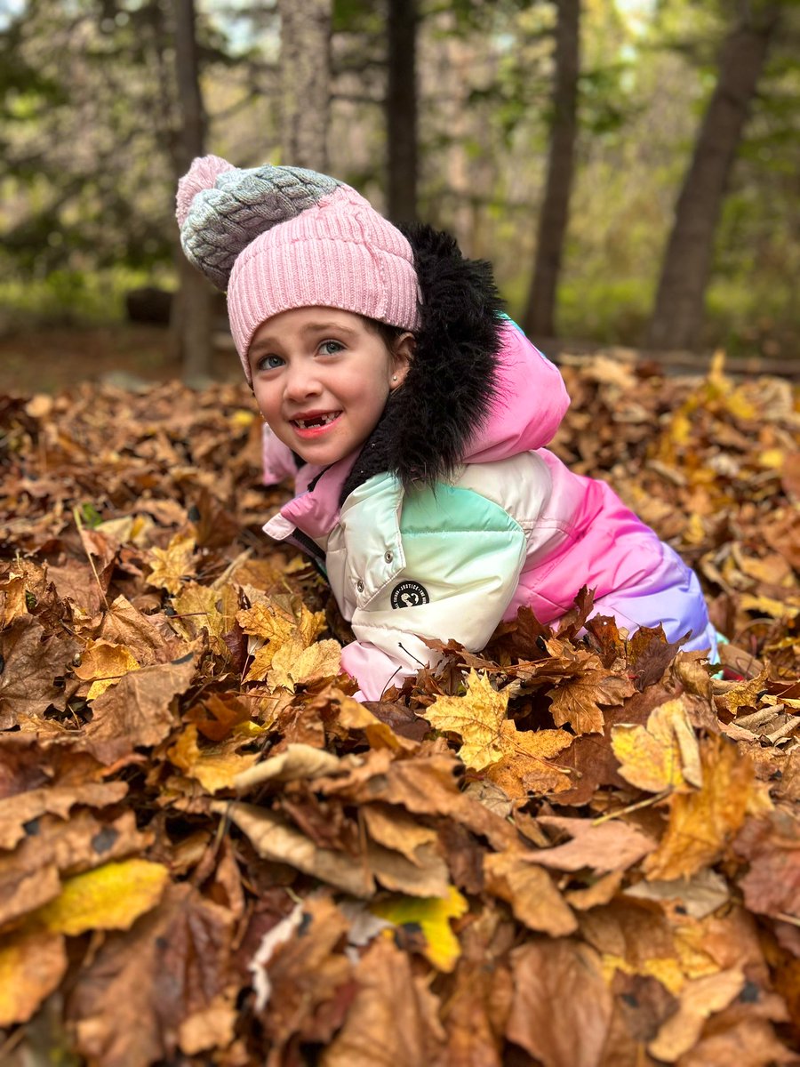 Nothing fills your bucket quite like bringing a kindergarten class to a huge pile of fall leaves! 🍁 The smiles and laughter were contagious today <a href="/ICSColliers/">ImmaculateConception</a> A huge thanks to our friend Ms. Lori for continuing this tradition! The Ss love it every year❤️