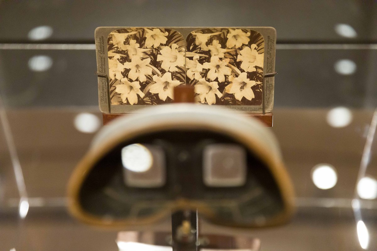 MuseumofBris tweet media