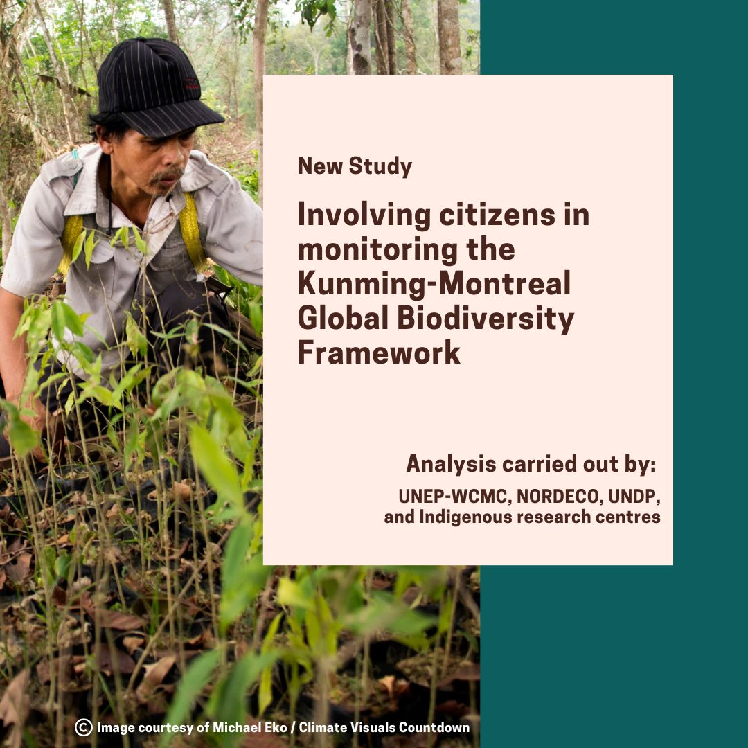 UNDP Climate (@undpclimate) on Twitter photo Just published in academic journal, <a href="/naturesustainab/">NatureSustainability</a>, a new <a href="/UNDP/">UN Development</a>-supported study highlights how the involvement of citizens is key to the success of global efforts to make #PeaceWithNature.
Read more about how we together we can reach #KMGBF targets: ow.ly/W6Vj50U0ORB Just published in academic journal, <a href="/naturesustainab/">NatureSustainability</a>, a new <a href="/UNDP/">UN Development</a>-supported study highlights how the involvement of citizens is key to the success of global efforts to make #PeaceWithNature.
Read more about how we together we can reach #KMGBF targets: ow.ly/W6Vj50U0ORB