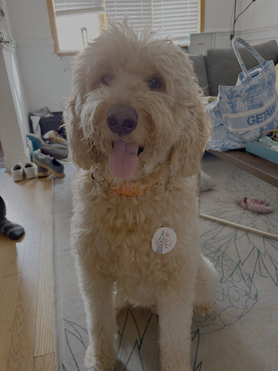 Hot Dogs for Harris!