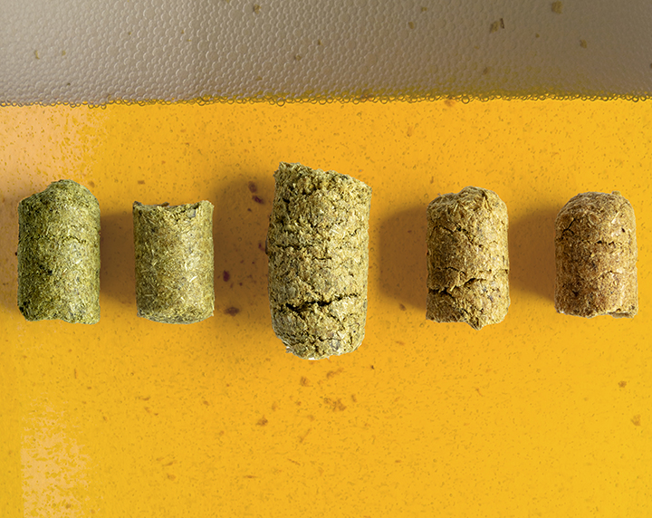 How does age impact hop quality? Interestingly, data tells us that moderately aged hops can positively impact beer aroma. Here is what else hop scientists have discovered: byo.com/article/the-ef…