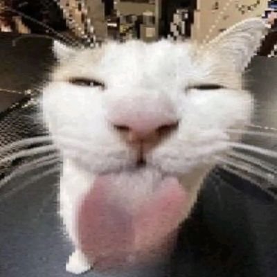 VerchyTheFox tweet media