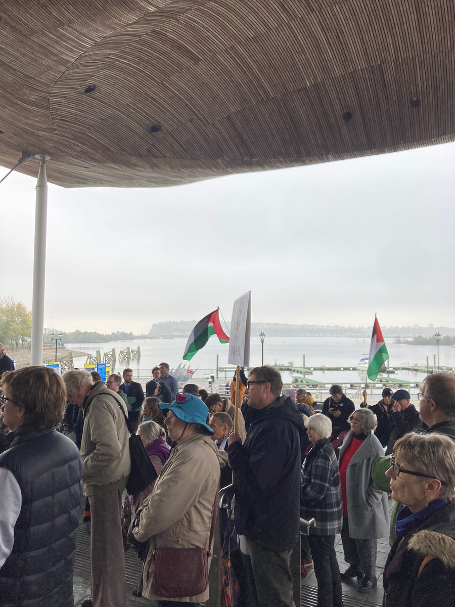 The sale of arms to Israel must stop now.

Speaking for <a href="/WalesGreenParty/">Plaid Werdd Cymru | Wales Green Party</a> at the emergency vigil at the Senedd today. 

The Welsh Government must fully support the call for Boycott, Divestment and Sanctions and also demand that the UK government ceases all arms sales immediately.