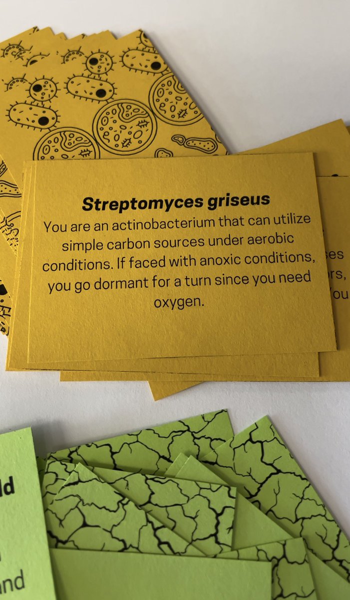 Vanesa Rostán tweet media