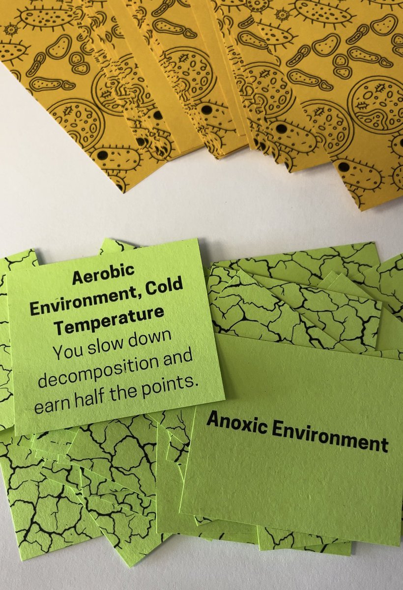 Vanesa Rostán tweet media