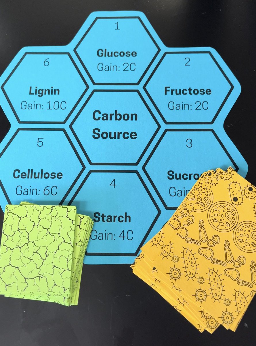 Vanesa Rostán tweet media