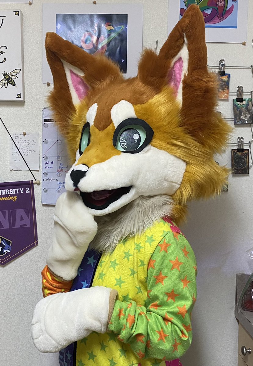 Kabber Creations - fursuit maker (@kabbercreations) on Twitter photo This cutie is a collaboration with <a href="/NaritaCoree/">NaritaCoree.art on bskysocial</a> and will be for sale at <a href="/kumoricon/">Kumoricon ☁</a> this weekend! This cutie is a collaboration with <a href="/NaritaCoree/">NaritaCoree.art on bskysocial</a> and will be for sale at <a href="/kumoricon/">Kumoricon ☁</a> this weekend!