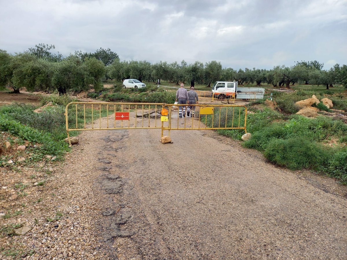 Jordi Jordan tweet media