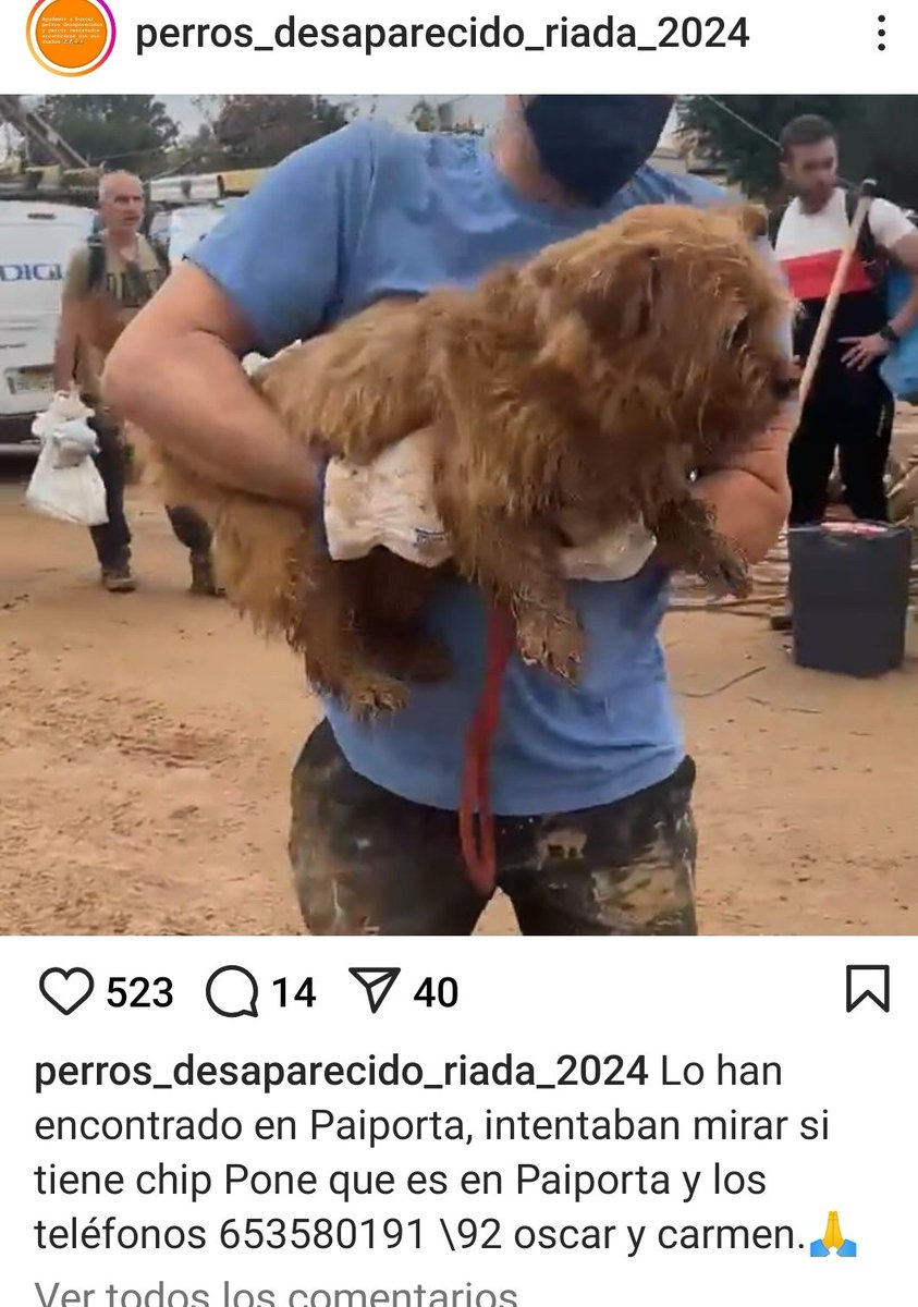 Encontrado en #paiporta #valencia , con chip a nombre de #oscar y #carmen .