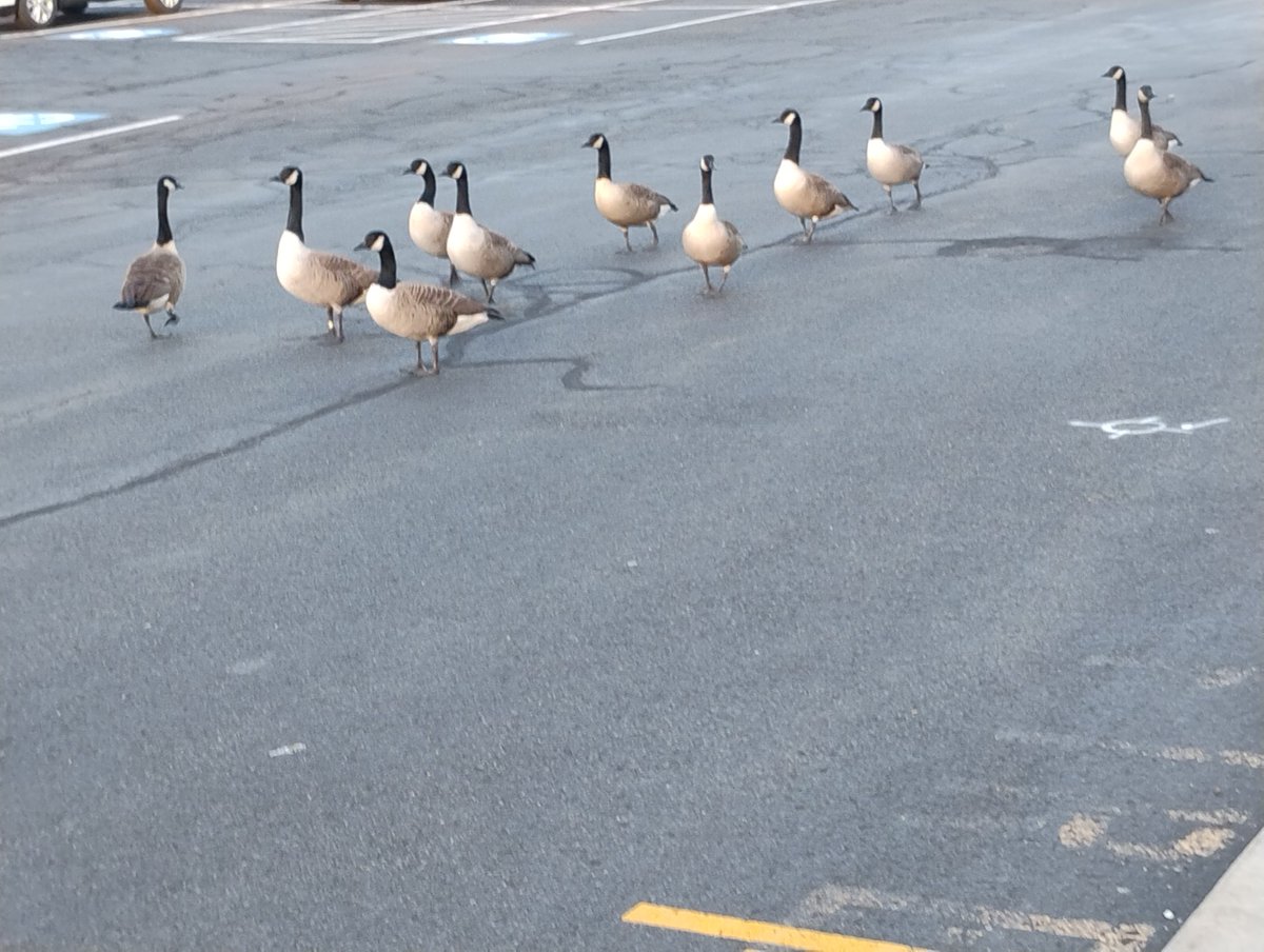 Very long line here. Not sure what that means for turnout.