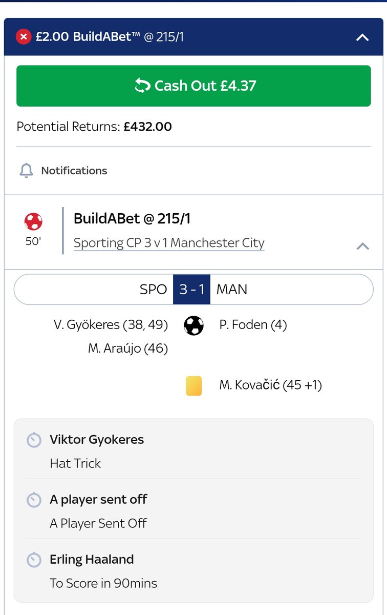 LiamWindy's tweet photo. Just a man with an unhealthy Gyokeres obsession and a dream #PUSB https://t.co/YRCHY311QR