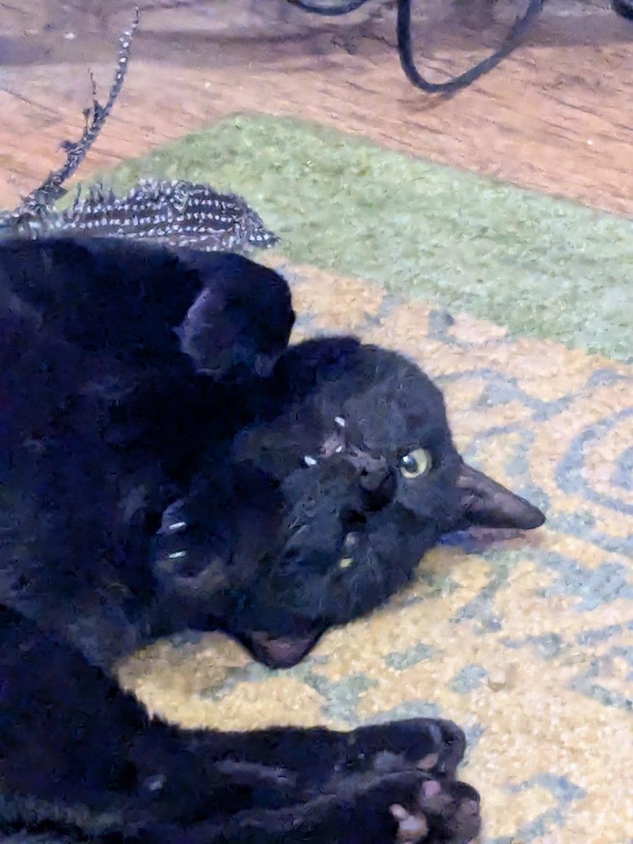 At least Jack seems pretty chilled