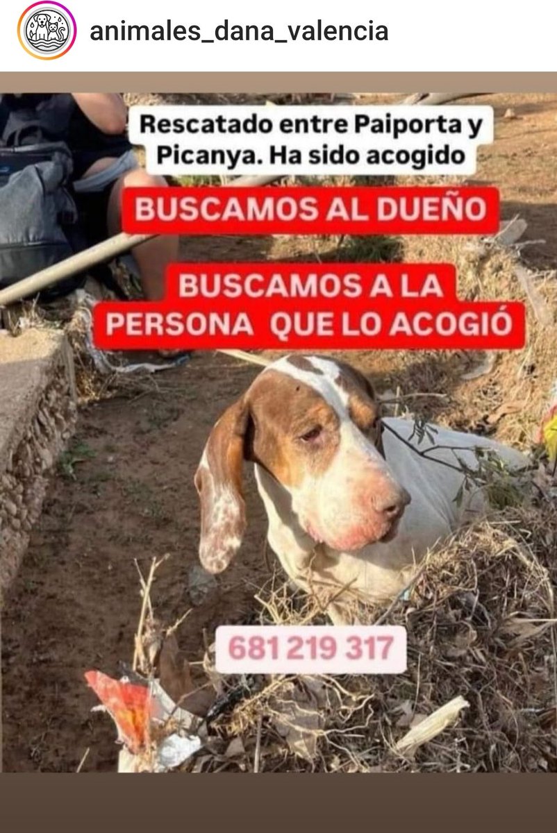 SOS Salvando Vidas España. (@vidassos) on Twitter photo 