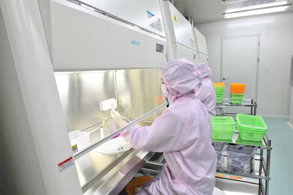 CompanyZiebaq's tweet image. At Ziebaq Technical Company, Our Validation Testing Services are designed to help you confirm that your processes meet the highest standards of quality and reliability.
Visit: ziebaq.com/services/valid…
#Ziebaq #ValidationTesting #QualityAssurance #OperationalExcellence
