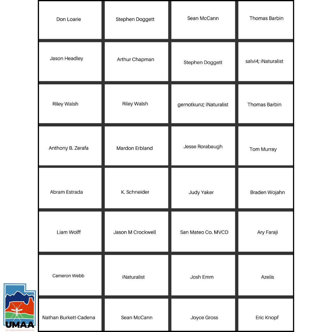 DYK that Utah has around 50 different mosquito species? This isn’t a complete list, but feast your eyes on the many different kinds of mosquitoes observed across Utah! (photo credits on the second image).
#UMAA #utahmosquitoes #mosquitoes #mosquitospecies #insects