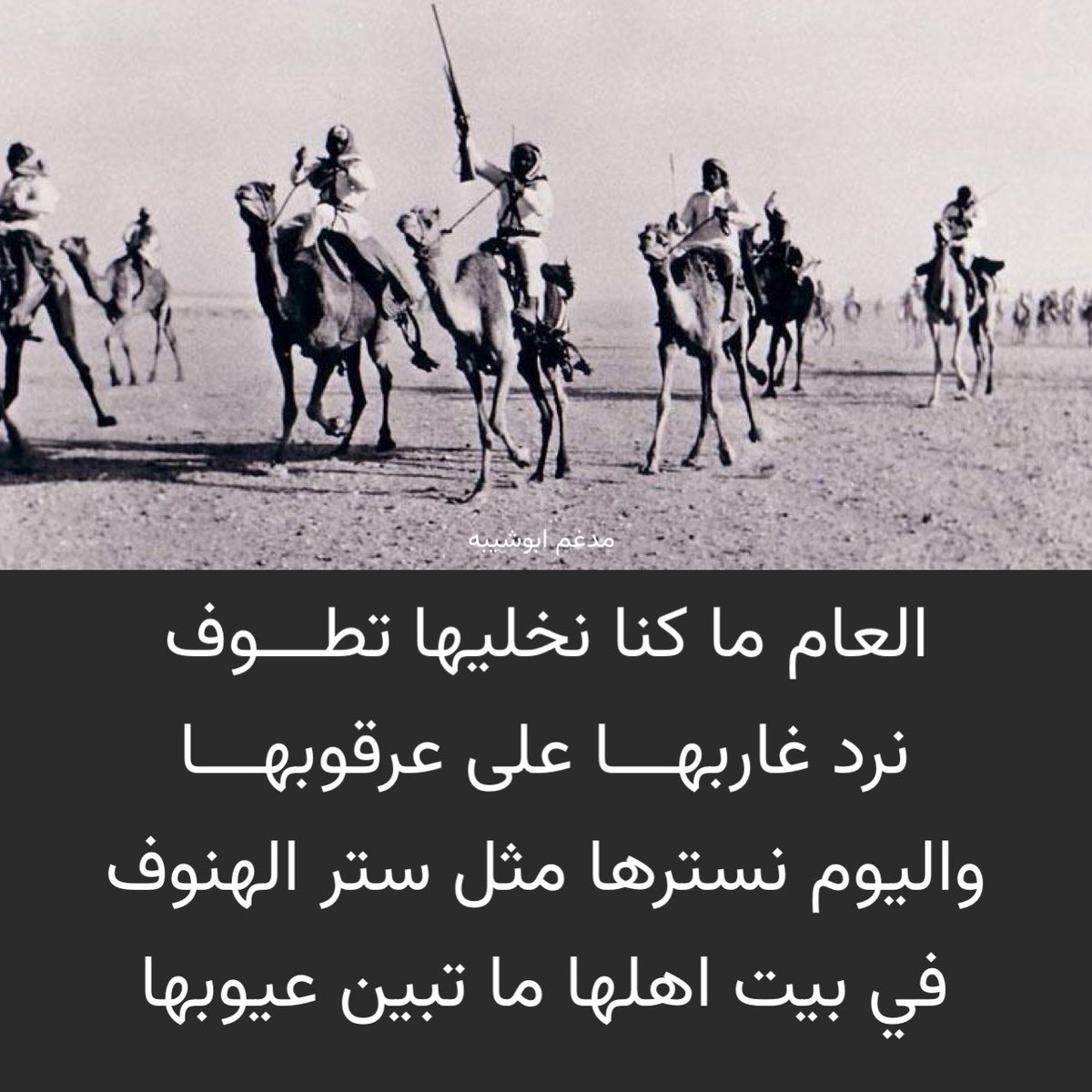 vip خاص نوادرالابل tweet media