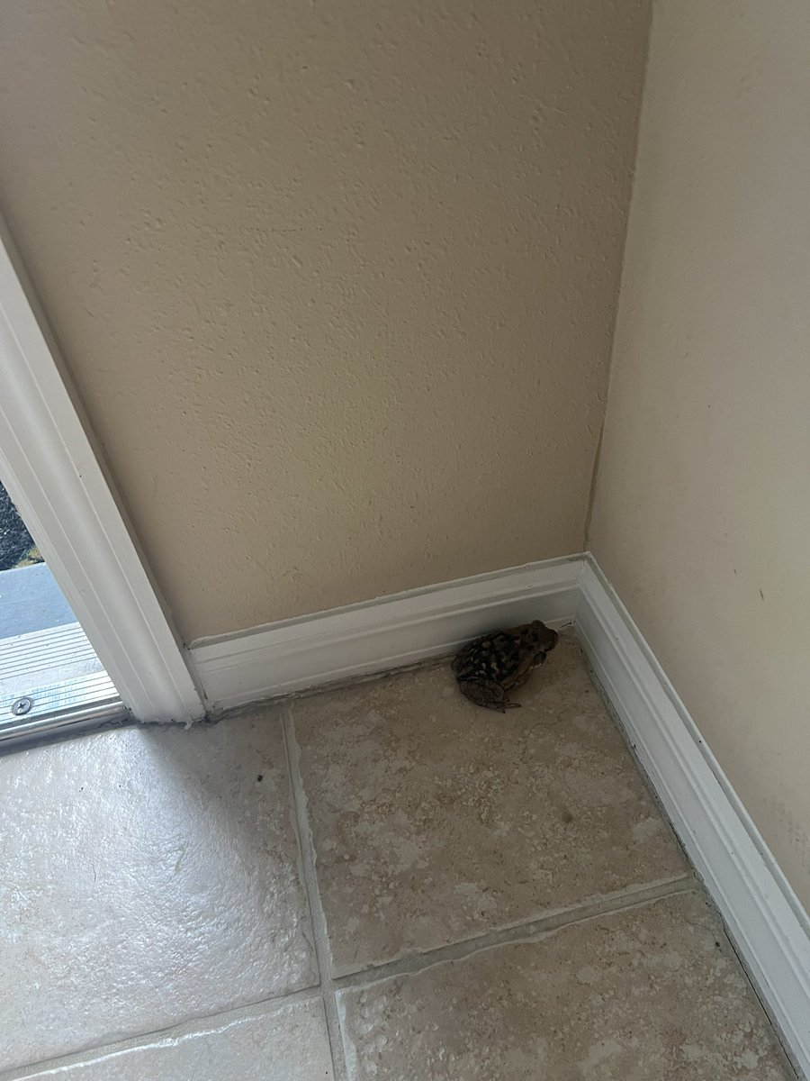 June 🐛 tweet media