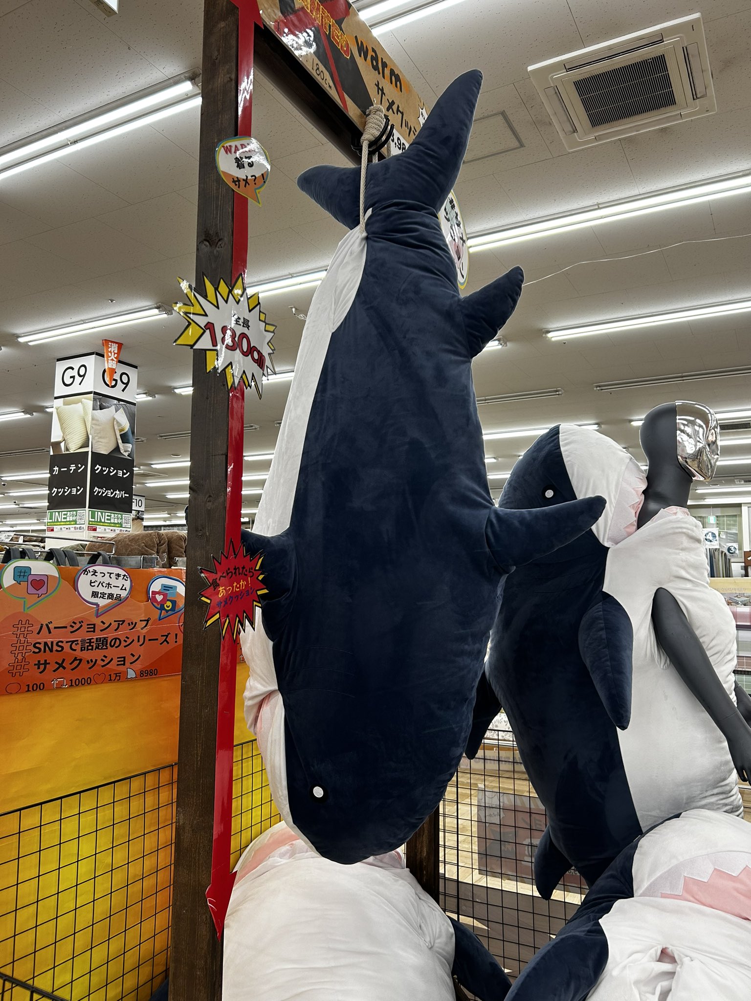 ビバホーム サメクッションラージ 【公式通販】