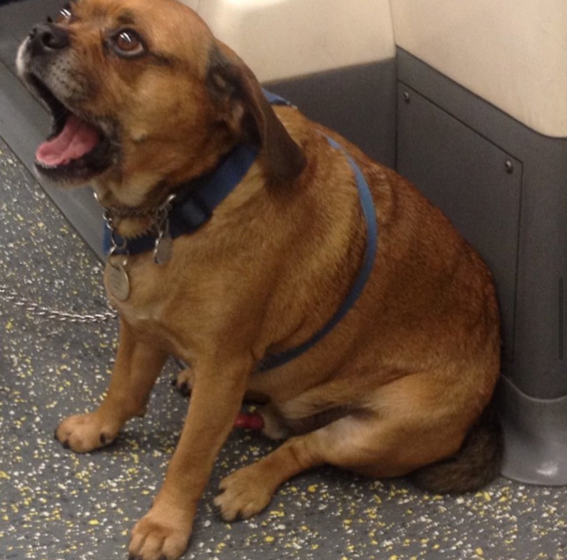 Mick Tick tweet media