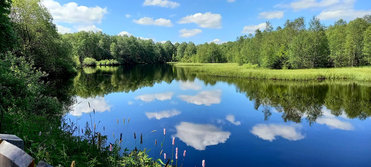 Florian Breidenbach tweet media