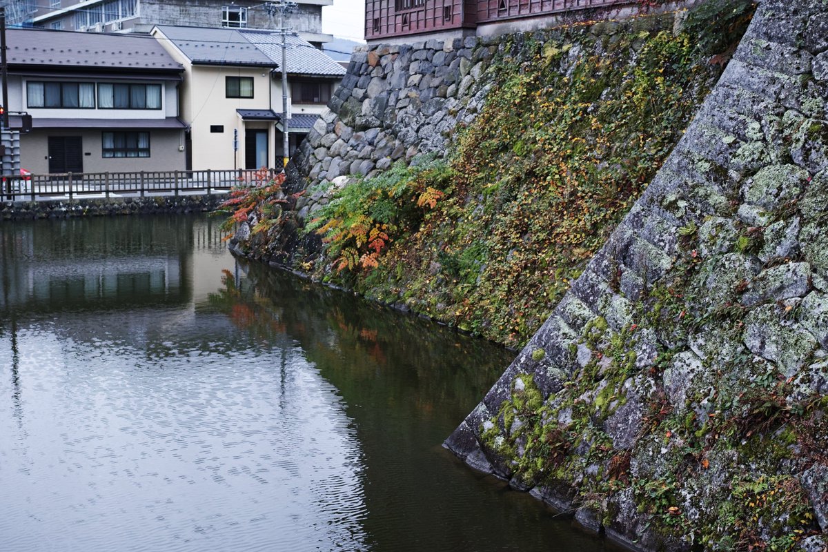 guzuppe's tweet photo. SPP朝活。秋の旅行の #X3F 現像。諏訪市図書館への道すがら、ふらっと立ち寄った諏訪高島城。再建された復刻城だが街に溶け込んだ静かな佇まいのお城でした。ワンコの散歩もOK #sigma #dp2quattro #sigmadp2quattro #Foveonsensor #foveon #japantrip #nagano #suwa #castle #高島城 https://t.co/U2JtvsJRfX