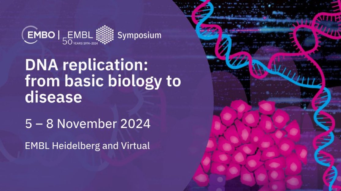 Anja Groth 🇺🇦 (@groth_anja) on Twitter photo Great kickoff for the EMBO EMBL Replication symposium with amazing structural and functional insights into initiation, elongation and histone recycling 🧬♻️ <a href="/TyeBik/">Bik Tye</a> <a href="/CostaLabCrick/">Costa Lab</a> <a href="/BleichertLab/">Bleichert Lab</a> <a href="/Speck_Lab/">Christian Speck</a> Chistol @Lopes_Lab Méchali @YardimciLab 🙌
#EESReplication <a href="/EMBLEvents/">EMBL Events</a> Great kickoff for the EMBO EMBL Replication symposium with amazing structural and functional insights into initiation, elongation and histone recycling 🧬♻️ <a href="/TyeBik/">Bik Tye</a> <a href="/CostaLabCrick/">Costa Lab</a> <a href="/BleichertLab/">Bleichert Lab</a> <a href="/Speck_Lab/">Christian Speck</a> Chistol @Lopes_Lab Méchali @YardimciLab 🙌
#EESReplication <a href="/EMBLEvents/">EMBL Events</a>