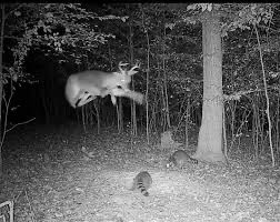 SamCallahan's tweet image. 