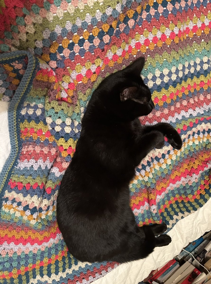 craftynursewithcats (@studentnurse792) on Twitter photo Winston nicely settled with <a href="/ClassicFM/">Classic FM</a> Music for pets. Obviously has a good taste in music 🎵 🎼🐈⬛ Winston nicely settled with <a href="/ClassicFM/">Classic FM</a> Music for pets. Obviously has a good taste in music 🎵 🎼🐈⬛