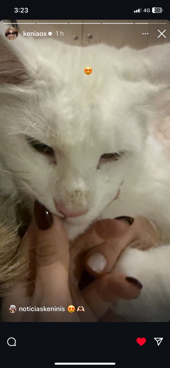 poco se está hablando de que beli recibió flores de kenia y kenia subió una historia con el gatito de beli donde también se ven las uñas de las dos 🫶🏻