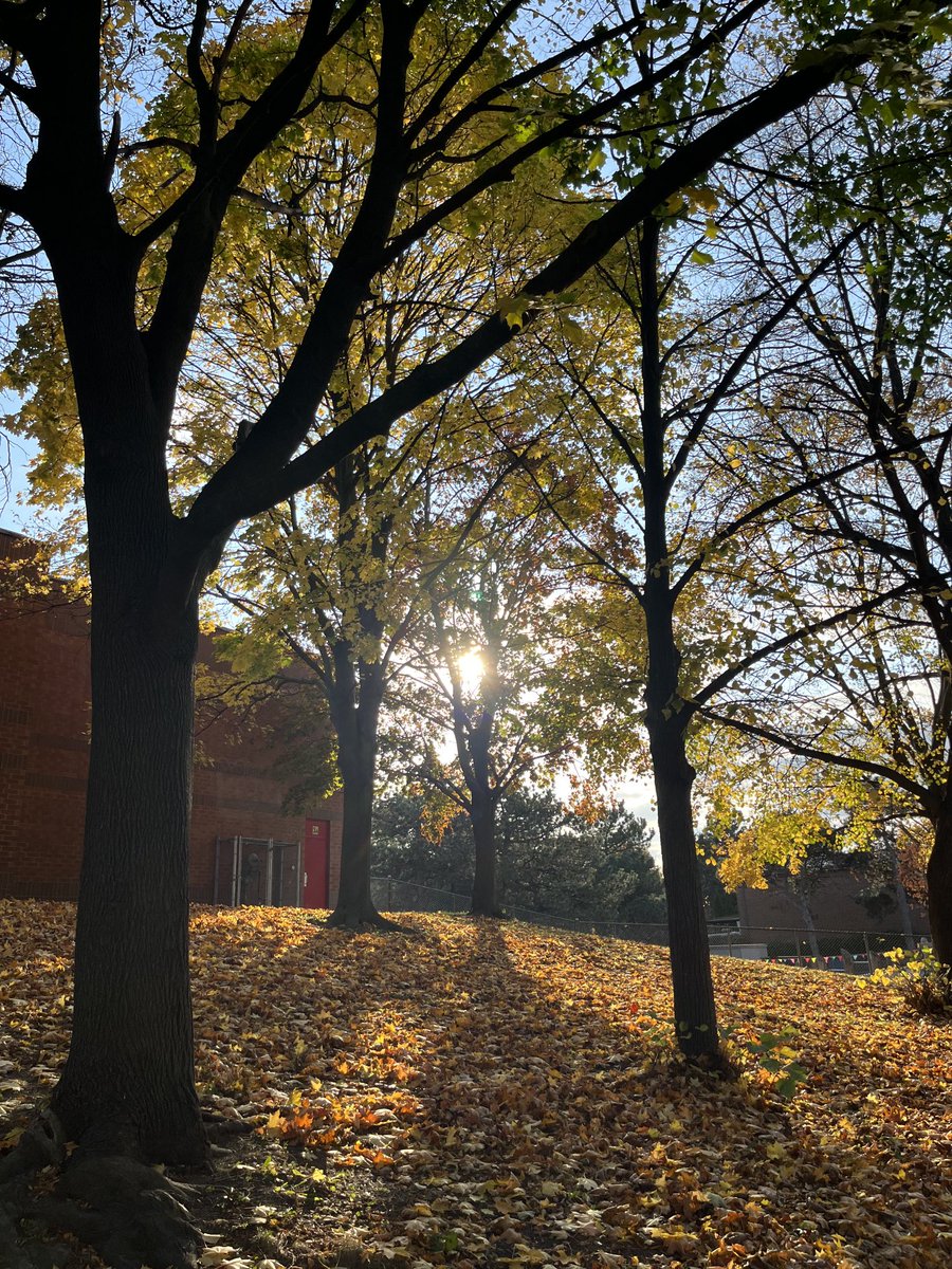 More peaceful images from my day for those scrolling.