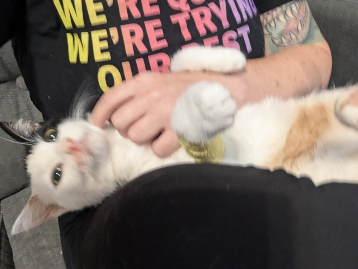 Tuesday Badell tweet media