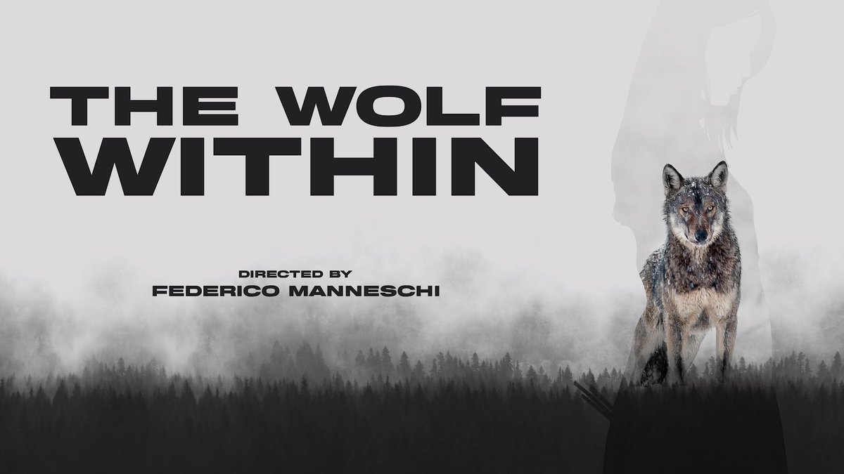 🎬 The Wolf Within is now on WaterBear! waterbear.com/watch/the-wolf…
Backed by 300+ NGOs, this powerful documentary calls for stronger protection for Europe’s #wolves amidst proposals to weaken them. Watch, learn, sign and share the petition! 🐺 #ProtectWolves
secure.avaaz.org/campaign/en/st…