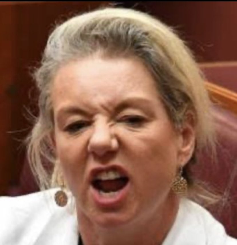 Miss Digby tweet media