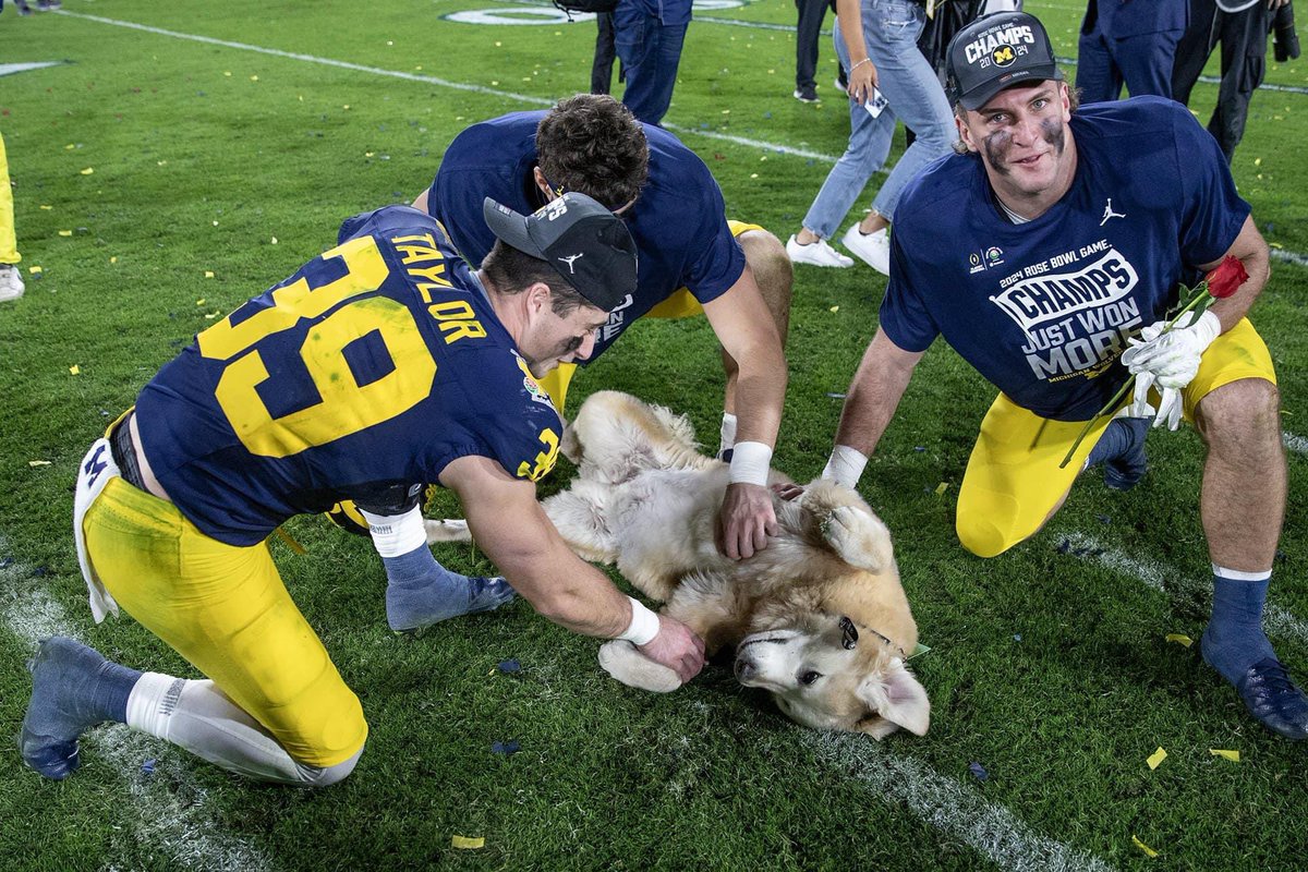 UMGoBlog's tweet photo. 💙〽️🐶 #PrayersForBen https://t.co/e6fdanSPv2