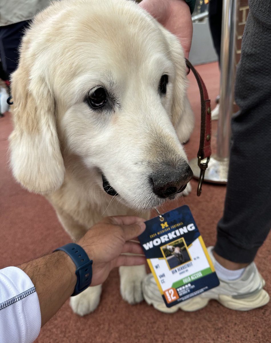 UMGoBlog's tweet photo. 💙〽️🐶 #PrayersForBen https://t.co/e6fdanSPv2
