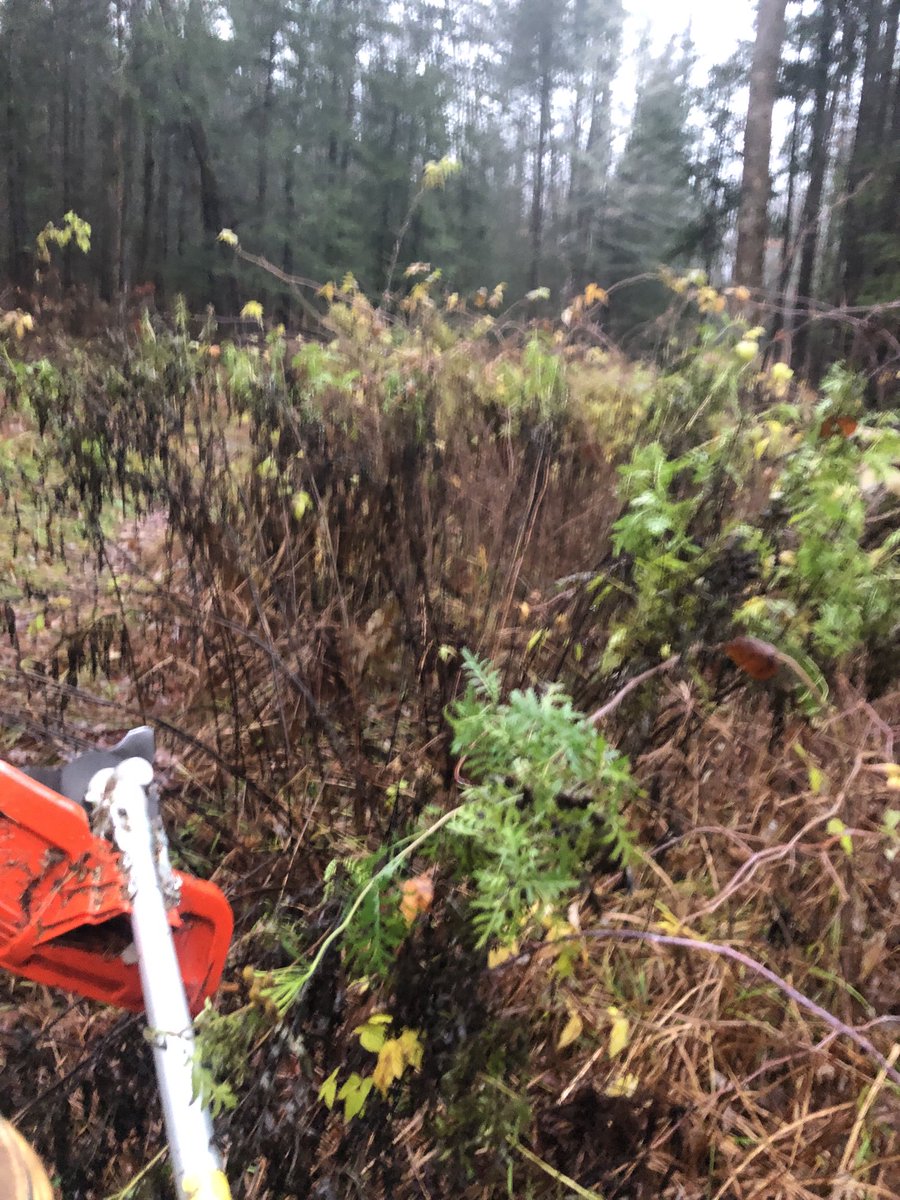 NipissingTrails's tweet image. Some days, the best approach is to put one’s head down, grind away at it, and control what one can, which includes keeping at the work! #IncrementalGains