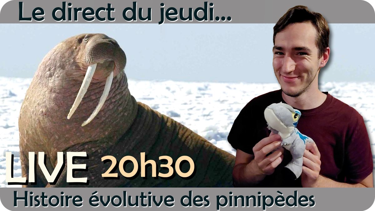 Ce jeudi 7 novembre on se retrouve à 20h30 sur Youtube pour la conférence "Phoque you !" Une conférence sur l'évolution des pinnipèdes, présentée par Benjamin Raynaud doctorant en paléontologie au CNRS.
youtube.com/live/N_yXrudIc…