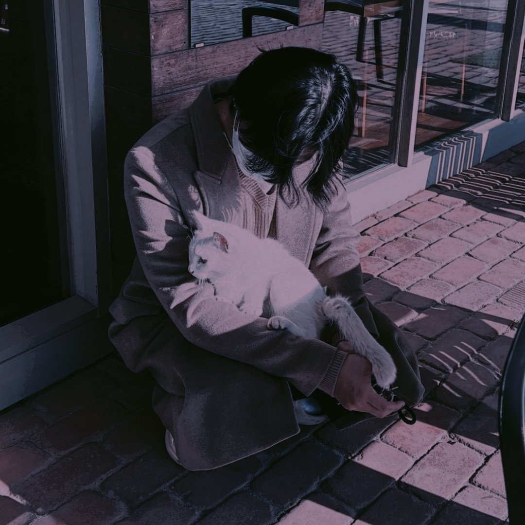 𝐒。 tweet media