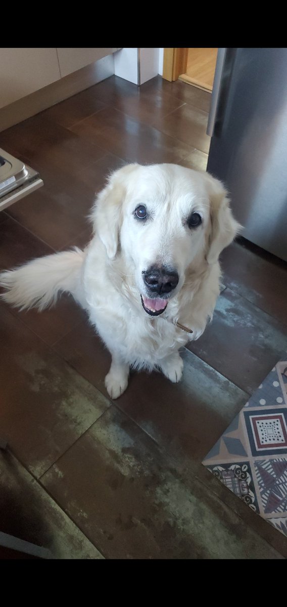 Lu ☁️ tweet media