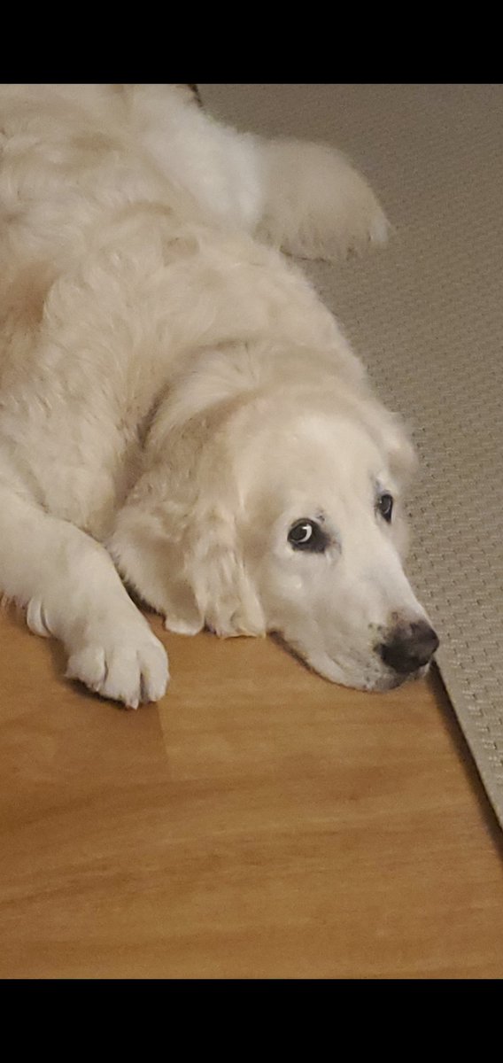 Lu ☁️ tweet media