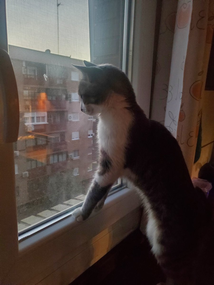 Lu ☁️ tweet media