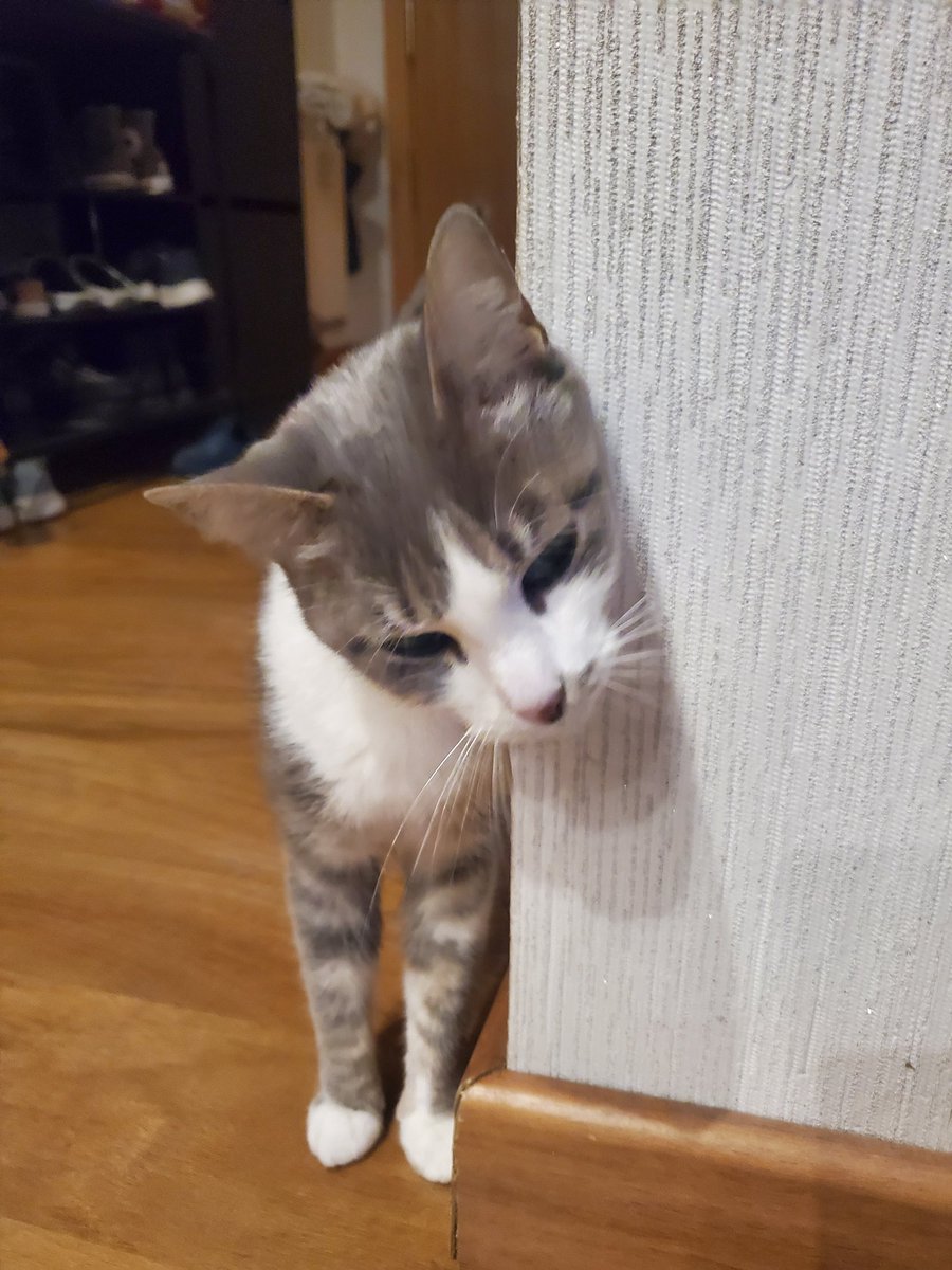 Lu ☁️ tweet media