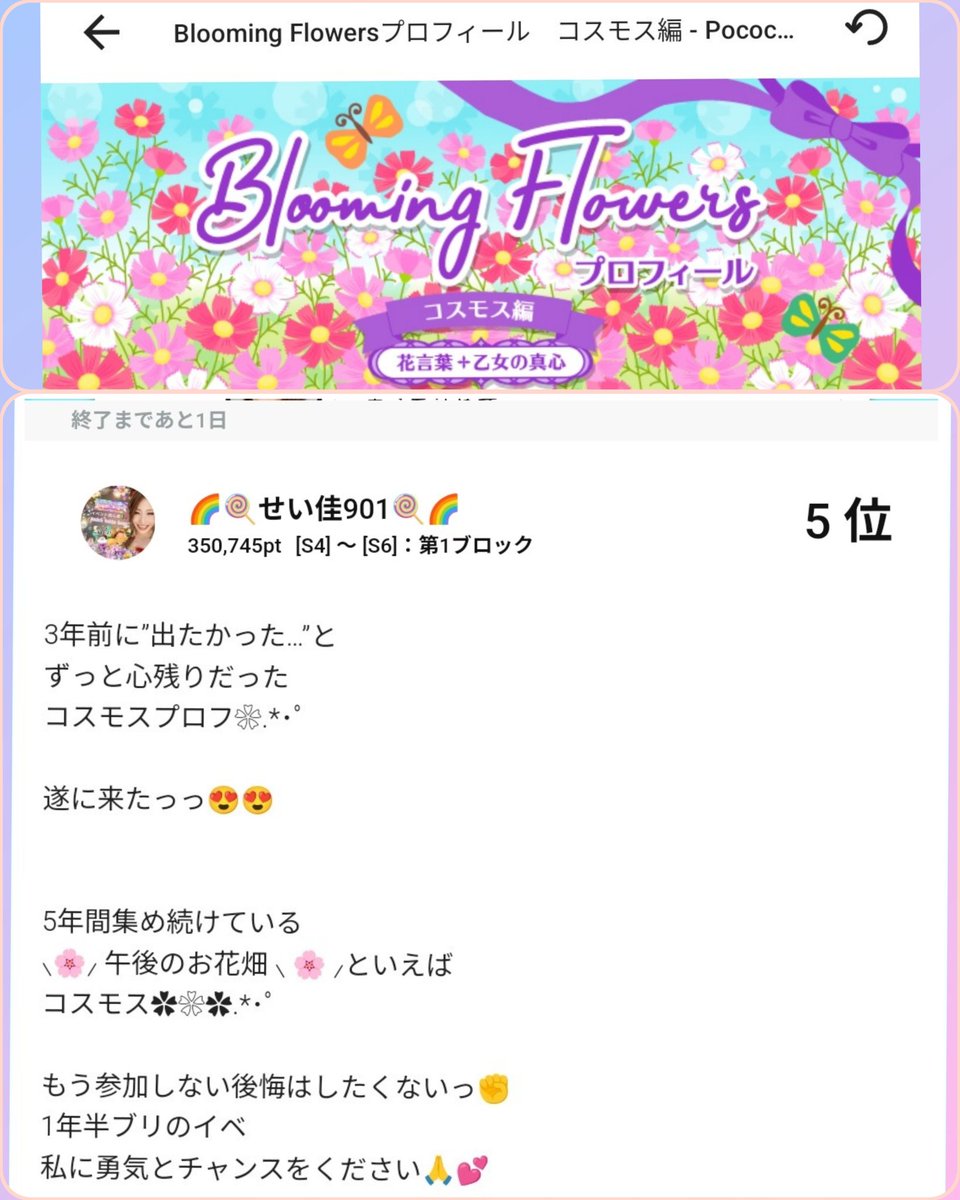 seipococha's tweet photo. 午後のお花畑✿を
大事にしてくれて
守ってきてくれた人達がいるから
参加できました🙏🥹

弱気になってる場合じゃない😶‍🌫️❤️

➡️🌈11月7日23:59まで🍭⬅️

コスモスに対する想いは負けない❀.*･ﾟ
どうか力を貸してください🙏🙏 https://t.co/BHM648T62Y